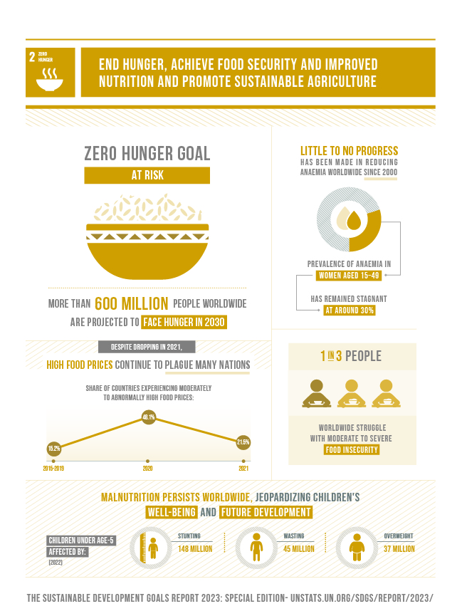 SDG_report_2023_infographics_Goal 2