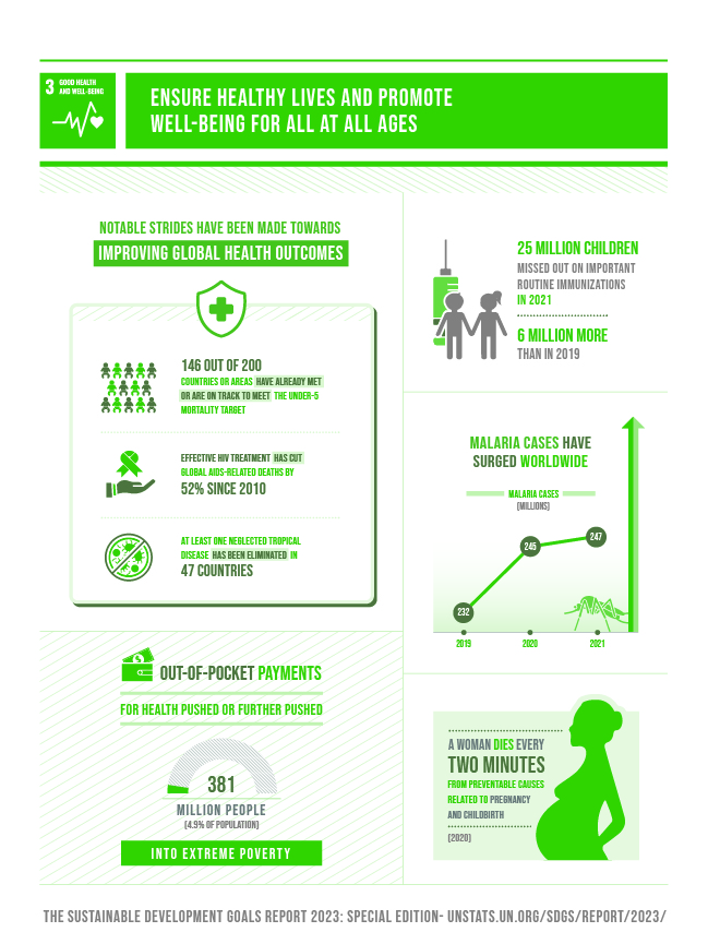 SDG_report_2023_infographics_Goal 3