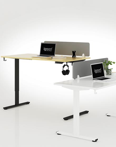 Flexispot-electric-height-adjustable-standing-desk-malaysia-EN1-F-ActivDesk-work-active,choose-igreen-icon