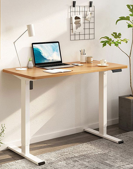 Flexispot®-Malaysia-Electric-Standing-Desk-Height-Adjustable-Sit-Stand-Table-EF1W