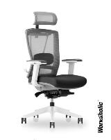 Workaholic™-Ergochair2.0-PRO-Mesh-Chair-Ergonomic-Chair