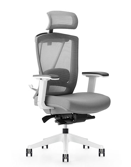 flexispot ergochair 2.0