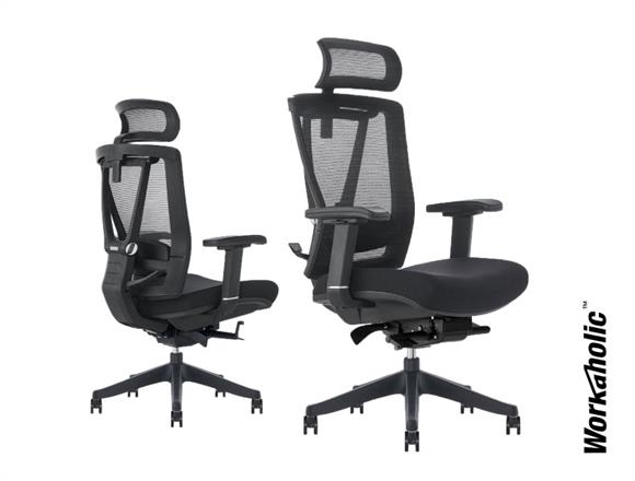 Ergochair 2 height online adjustment