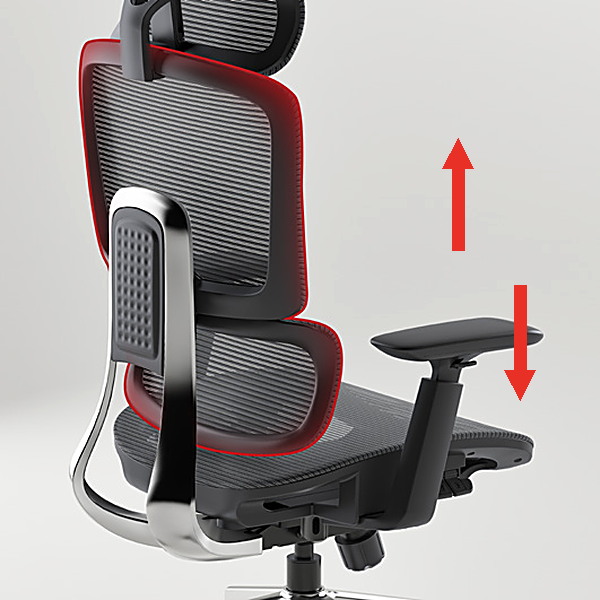 i-Bounty adjustable backrest with five locking positions
